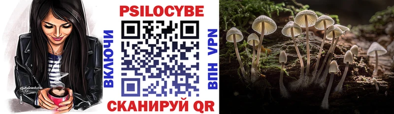 Галлюциногенные грибы GOLDEN TEACHER  Петровск-Забайкальский 